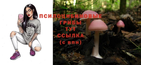 стафф Арсеньев