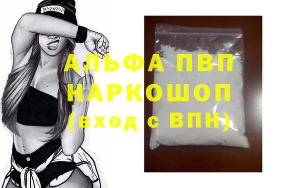 стафф Арсеньев