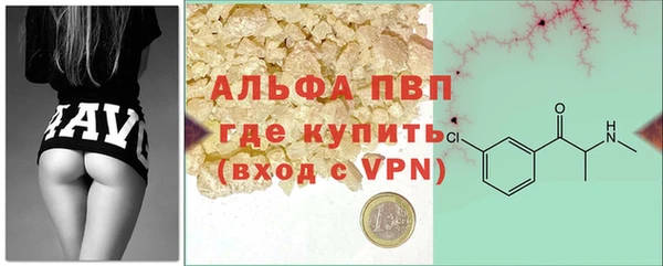 стафф Арсеньев