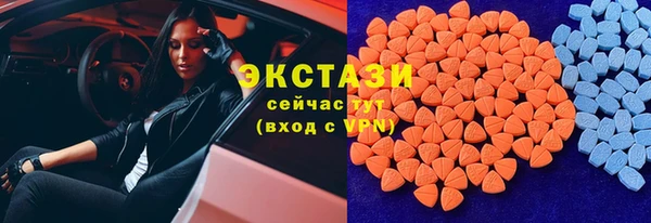 стафф Арсеньев