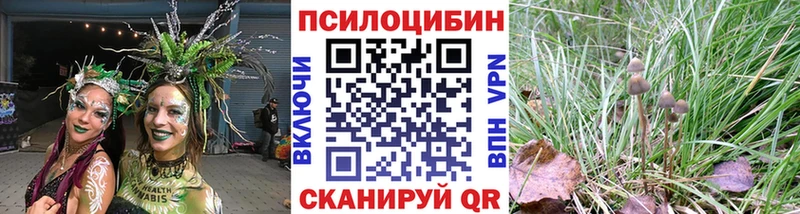 площадка формула  Спас-Деменск  Галлюциногенные грибы MAGIC MUSHROOMS 
